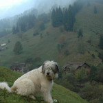 Romania